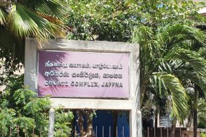 தீவிரமடையும் நிபா வைரஸ் : கட்டுப்படுத்த கவனம் செலுத்துங்கள்- சஜித் பிரேமதாச