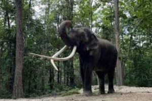 உயிர்த்த ஞாயிறு தாக்குதல் : பின்னணியில் உள்ளவர்கள் குறித்து சர்வதேச விசாரணை தேவை!