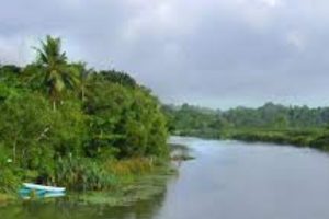 உலகின் மிகப்பெரிய ஊடக சாம்ராஜ்யத்தை உருவாக்கிய ருபேர்ட் மேர்டொக் : பதவியில் இருந்து விலகல்