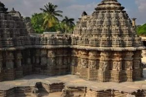 ஜனநாயக நாட்டில் அனைவருக்கும் போராட்டங்கள் செய்யலாம் – ஆளுநர் செந்தில் தொண்டமான்