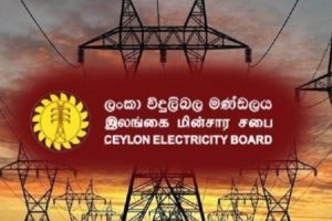 கரையானால் பறிபோன 18 லட்சம் ரூபாய்… வங்கி Locker-ல் உரிமையாளருக்கு காத்திருந்த  அதிர்ச்சி!