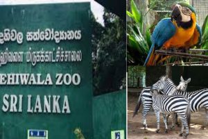 50 வினாடிக்கு 5 கோடி ரூபாய் சம்பளம் வாங்கும் நயன்… இணையத்தில் பரவும் செய்தி