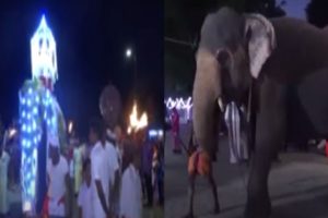 நாட்டின் இறைமையை பாதுகாக்கவே உக்ரைன் மீது போர் தொடுக்கப்பட்டது – புட்டின்!