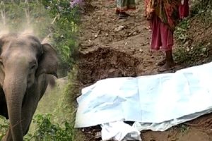 சீனாவை உலுக்கிய சூறாவளி.. ஒரே நாளில் 10 பேர் பலி