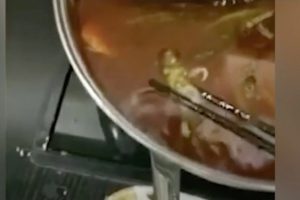 ஒருநாள் கிரிக்கெட்டில் ஓய்வை அறிவித்த குயிண்டன் டி காக்