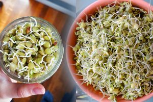 ஆஸ்திரேலியாவில் சட்டங்களில் ஏற்படவுள்ள மாற்றம்!