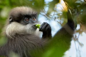 நிலவுக்கான தனது பயணத்தை ஜப்பான் இன்று தொடங்கியது
