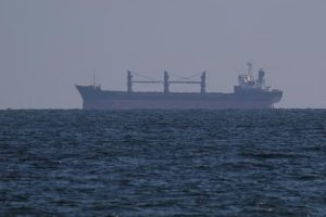 வெலிகம கடலின் நிறம் மாறியது