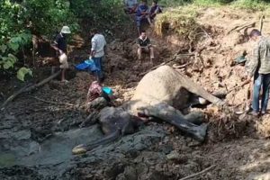 மட்டக்களப்பில் 15 வயது சிறுமி மாயம்