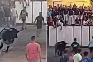 அமெரிக்காவில் தன்னை தானே சுட்டு கொண்டு உயிரிழந்த சிறுமி