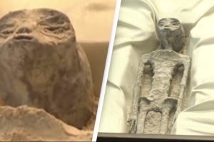 ரணிலுக்கு அழைப்பு விடுத்துள்ள முதலமைச்சர் மம்தா பானர்ஜி