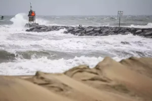 போலியான ஷெங்கன் விசா ஆவணங்களை வைத்திருந்த 8 பேர் கைது