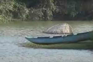மாத்தறையில் இரு வீட்டுப் பணிப்பெண்கள் படுகொலை: சந்தேக நபர் கைது