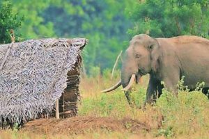 விமானத்தில் சக பயணியால் பாலியல் துன்புறுத்தல்… பிரபல நடிகை புகார்!