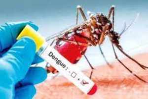 வவுனியாவில் காணாமல்போன நான்கு பிள்ளைகளின் தந்தை: தவிக்கும் பிள்ளைகள்