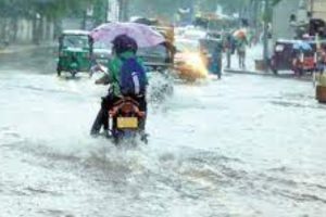 WC – 81 ஓட்டங்களால் பாகிஸ்தான் அணி வெற்றி