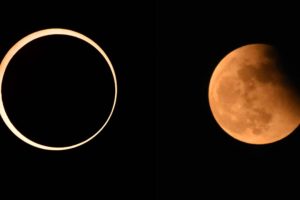நடிகர் ராஜ்கிரணுக்கு லட்சக்கணக்கில் பணம் கொடுத்து இருக்கின்றேன்… ரவீந்தர் புது செய்தி