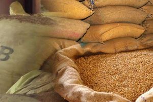 துருக்கியில் இருந்து இயக்கப்படும் நேரடி விமான சேவை : இன்று முதல் ஆரம்பம்!
