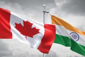 பொற்கோயிலில் உணவு தயாரிக்கும் பணியாளர்களுக்கு உதவியாக காய்கறிகளை சுத்தம் செய்த ராகுல் காந்தி!