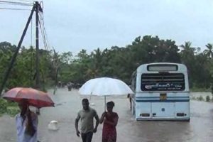 தாய்லாந்து வணிக வளாக துப்பாக்கி சூட்டிற்கு உடந்தையாக இருந்த இருவர் கைது