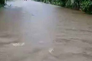 காஸா மீது வான்வழித்தாக்குதல் : 614 குழந்தைகள் பலி!