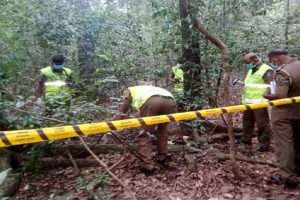 மெக்சிகோவை உலுக்கிய சூறாவளி – 27 பேர் பலி – 4 பேர் மாயம்