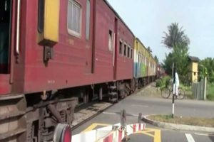 ஆஸ்திரேலியாவில் கணிசமாக உயரும் சாக்லேட் விலை