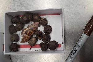 பிரபல ஜோதிடர் இந்திக்க தொட்டவத்தவிற்கு விளக்கமறியல்