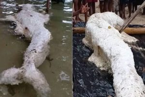 நம்பிக்கையிழந்து லொட்டரி டிக்கெட்டை குப்பையில் வீசிய நபர்… பின்னர் நேர்ந்த ஆச்சர்யம்!