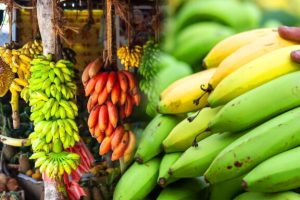 மோசமான தோல்விகள் – இலங்கை வந்தடைந்த கிரிக்கெட் அணி – காத்திருக்கும் நெருக்கடி