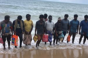 யாழில் முதியவரொருவருக்கு நேர்ந்த துயரம்!