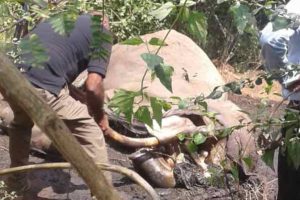 SLC யினால் ICCக்கு அனுப்பப்பட்ட மூன்று கடிதங்களை பரிசீலிப்பதாக ஜனாதிபதி உறுதி