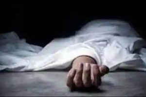 CWC – 8 விக்கெட்டுகள் வித்தியாசத்தில் ஆஸ்திரேலியா வெற்றி