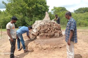 100 கோடி மோசடி; பிரகாஷ் ராஜுக்கு அமலாக்கத்துறை சம்மன்