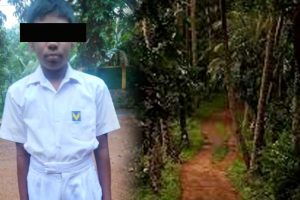 ஜப்பானில் கடலுக்கு அடியில் எரிமலை வெடித்ததை அடுத்து புதிய தீவு