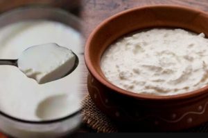 தனுஷ் மகனுக்கு அபராதம்.. போக்குவரத்து காவல் துறை அதிரடி