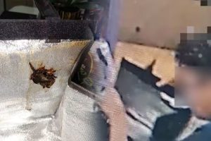 பிரான்ஸில் கணவனுக்கு அதிர்ச்சி கொடுத்த மனைவி