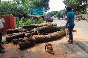 பிரபல பாலிவுட் ஹிட் படத்தின் ரீமேக்கில் நடிக்கவுள்ள சூர்யா!