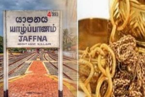 விலங்குகளால் ஏற்படும் பயிர் சேதத்தால் இலங்கைக்கு வருடாந்தம் 20 பில்லியன் ரூபா இழப்பு