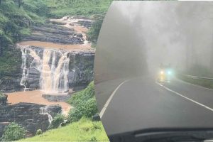 ஸ்பெயினின் கேனரி தீவுகளில் இருந்து 500க்கும் மேற்பட்ட புலம்பெயர்ந்தோர் மீட்பு
