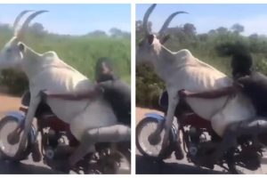 இலங்கையில் தொலைப்பேசி மூலம் மேற்கொள்ளப்படும் மோசடி : பொலிஸார் எச்சரிக்கை!