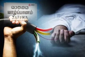 கொலம்பியாவில் சிறுமியின் மூளையைத் தின்று, ஆளைக் கொன்ற அமீபா; நீச்சல்குளங்களை நாடுவோருக்கு எச்சரிக்கை!