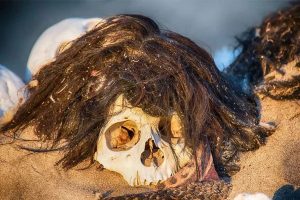 நாவலப்பிட்டியில் லஞ்ச் ஷீட்​டை சாப்பிட வைத்த அதிபர்: இரு மாணவர்களுக்கு பாதிப்பு