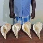 உலக வங்கியிடம் இருந்து 1.34 பில்லியன் பெற்ற உக்ரைன்
