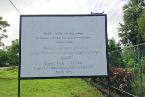 நாவற்சோலை கிராம மக்களின் குடிநீர் பிரச்சினை: கிணறுகள் புனரமைக்கப்பட்டு பொதுமக்களுக்கு கையளிப்பு