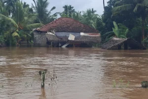 பாக். நாடாளுமன்ற தேர்தல் திகதி தொடர்பில் வெளியான அதிகாரப்பூர்வ அறிவிப்பு