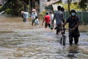 யாழ். மாவட்டத்தில் உருளைக்கிழங்கு உற்பத்தியில் விவசாயிகள் பாதிப்பு
