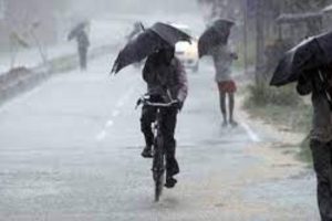முல்லைத்தீவு மாவட்டத்தின் நடப்பாண்டுக்கான இறுதி மாவட்ட விவசாய குழுக் கூட்டம்