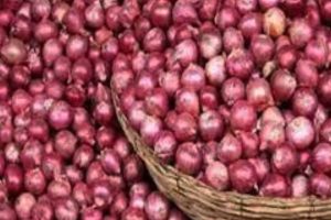 ஷகிலா போல இருப்பான்னு நினைச்சேன்.. ஆனால்? ஷீத்தல் குறித்து பப்லு பகீர்