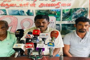 சூடு பிடிக்கும் ரஷ்ய அதிபர் தேர்தல் : புட்டினுக்கு எதிராக தேர்தலில் போட்டி இடும் டன்ட்சோவா :